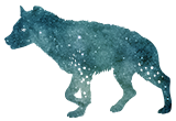 害獣探索